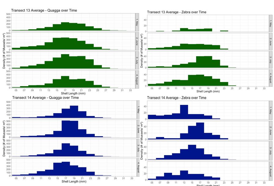  Fig. 3. Length distributions of quagga and zebra mussels from Saginaw Bay by month in 2010.&amp;nbsp; Mussels were pooled across depths 