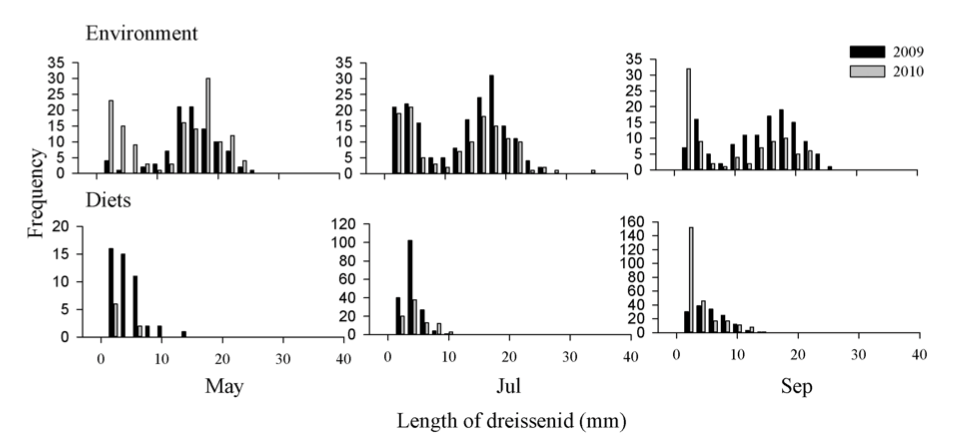  Fig. 4. Length distributions of dreissenids collected from the environment (via PONAR) and observed in round goby diets. Figure reproduced from Foley et al. 2017 